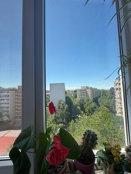 Lujerului, langa Piata Veteranilor